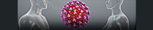 Cara Virus Corona Merusak Tubuh Manusia (Katadata Indonesia)