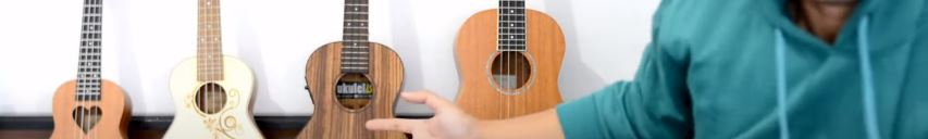 Memilih & Jenis Ukulele (Irvan Sigufi)