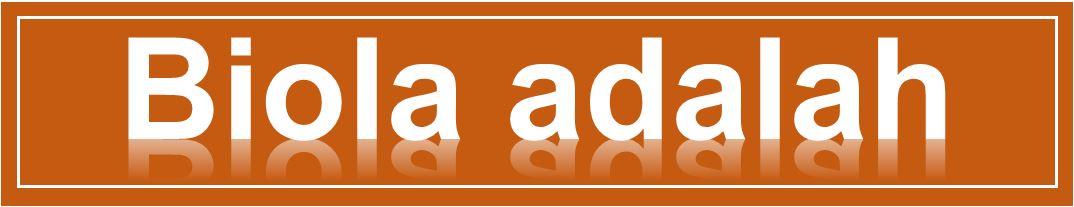 Biola Adalah | ARTIKEL (rbebe.id)