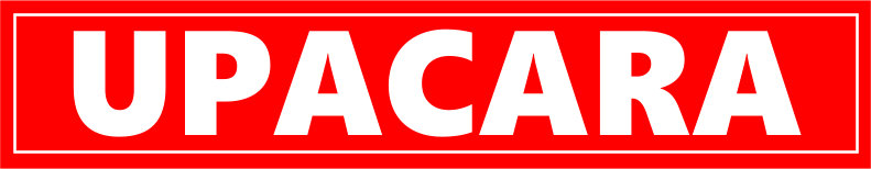 Tata Cara Upacara Bendera | ARTIKEL (rbebe.id)
