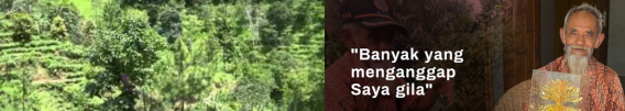 Seperempat Abad Perjuangan Mbah Sadiman, Hijaukan Hutan Gunung Gendol (Radar Solo TV)