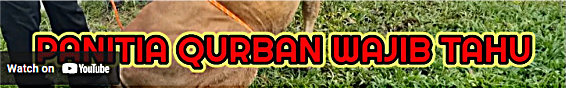 Jurus Jitu Merebahkan Sapi (Jawara Halal Indonesia)
